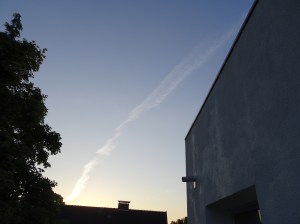 DSC01486