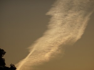 DSC01487